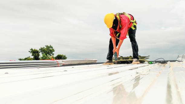 Best Chimney Flashing Repair  in Haymarket, VA