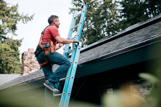Best Chimney Flashing Repair  in Haymarket, VA