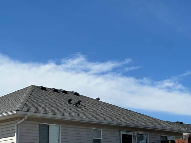 Best Rubber Roofing (EPDM, TPO)  in Haymarket, VA